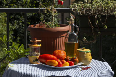 Close up of a composition of different tomatoes with oil, saffron, hot pepper and spices