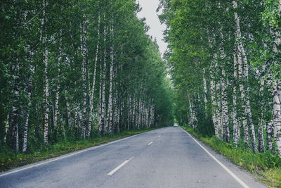 Empty road amidst trees in forest