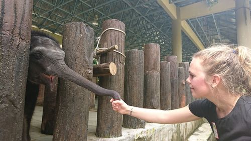 Full length of man in traditional clothing at zoo