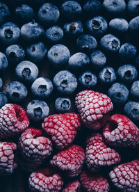 Full frame shot of blueberries