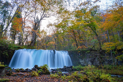 Scenic view of waterfall in forest during autumn