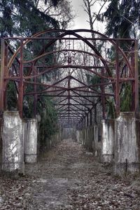 Walkway along trees