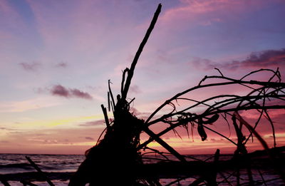 Silhouette bare tree by sea against sky during sunset