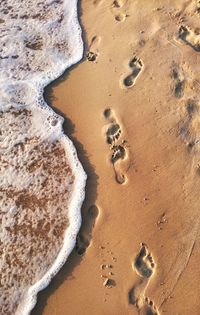 High angle view of footprints on sand at beach