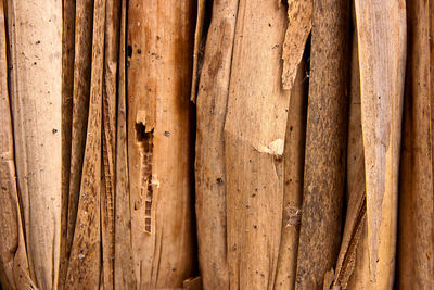 Full frame shot of wood in forest