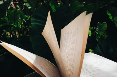 Close-up of open book