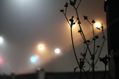Close-up of silhouette street light against sky during sunset