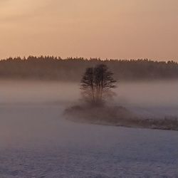 Scenic view of snow covered land against sky during sunset