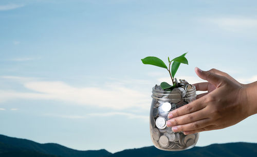 Close-up of person holding coin and plant in jar against sky