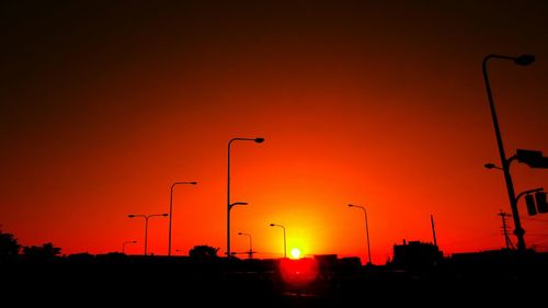 Silhouette of trees at sunset