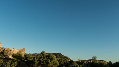 Low angle view of trees against clear blue sky