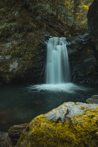 Scenic view of waterfall in forest