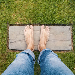 Low section of man wearing shoes on grass