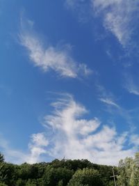 Low angle view of trees against blue sky