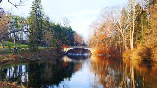 Reflection of trees in river against sky