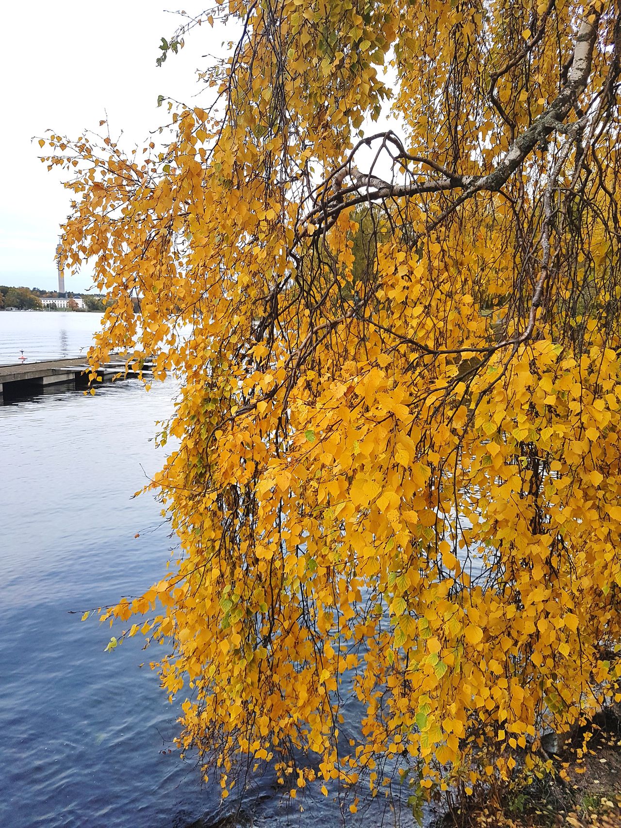 Djurgårdsbrunnskanalen