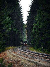 Railroad tracks amidst trees in forest against sky