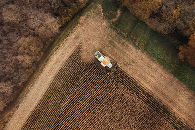 Aerial view of a combine harvesting corn with a modern machine, effective harvest