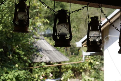 View of lantern hanging from plant