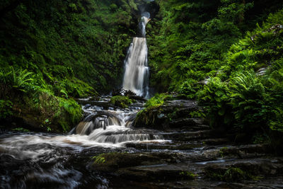 Scenic view of waterfall in forest