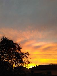 Silhouette trees on landscape against orange sky