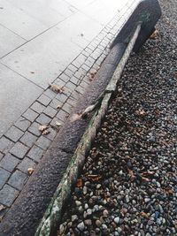 High angle view of stones on street