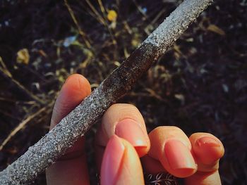 Close-up of hand holding plant