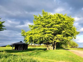 Scenic view of grassy field against cloudy sky