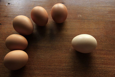 High angle view of eggs on table