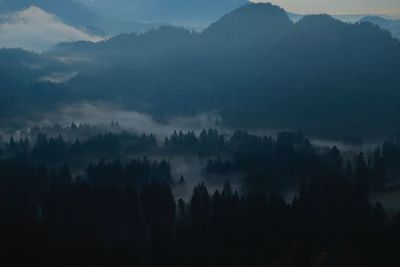 Silhouette trees in forest against sky
