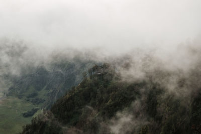 High angle view of trees on mountain against sky