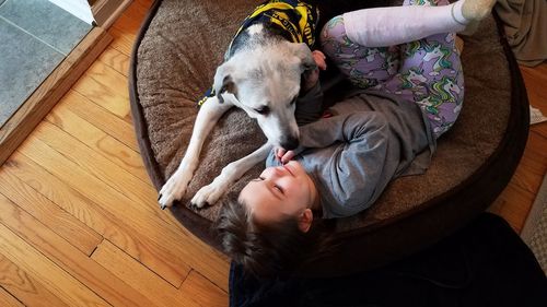 High angle view of dog sleeping on floor at home