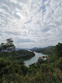 Scenic view of trees against sky