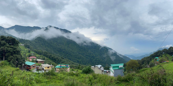 Panoramic shot of trees and buildings against sky