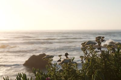 Scenic view of sea against clear sky