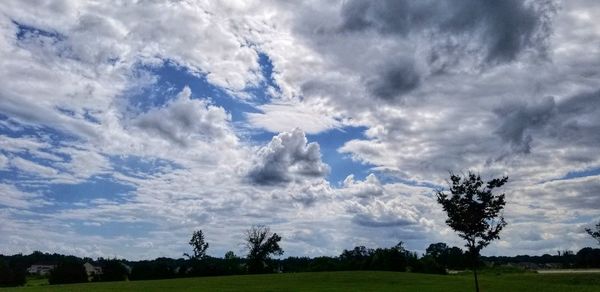 Scenic view of field against sky