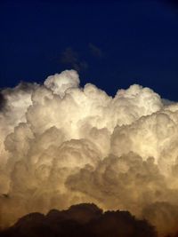 Low angle view of trees against sky