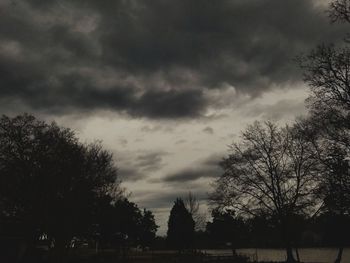 Low angle view of trees against cloudy sky