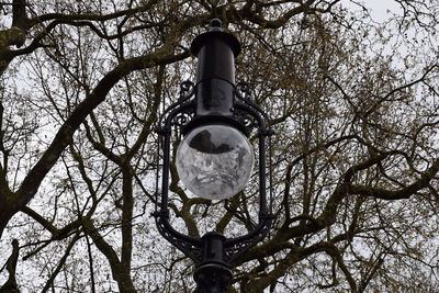 Low angle view of bare trees against sky