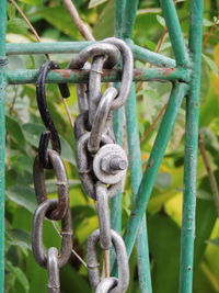 Close-up of chain on metal