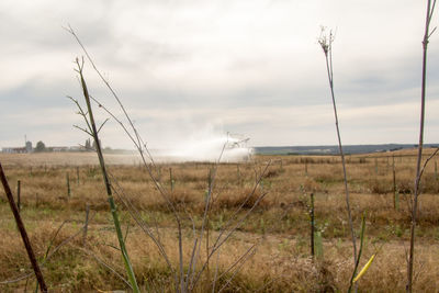 Scenic view of field against sky