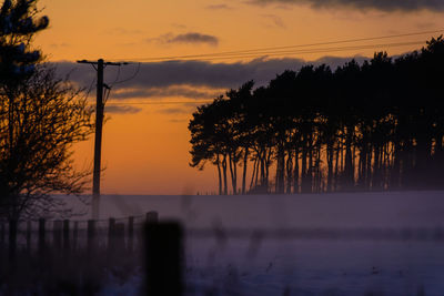 Silhouette trees by lake against sky during sunset