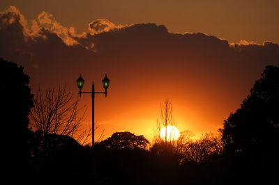 Low angle view of silhouette trees against sky during sunset