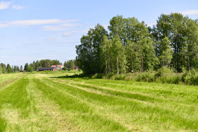 Scenic view of land against sky