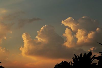 Low angle view of silhouette trees against sky during sunset