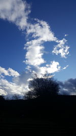 Low angle view of silhouette trees on field against sky