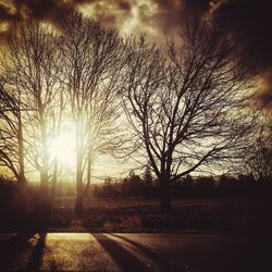 Silhouette bare trees on landscape against sky during sunset