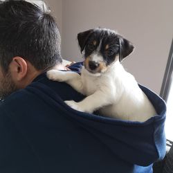 Portrait of man with dog sitting at home