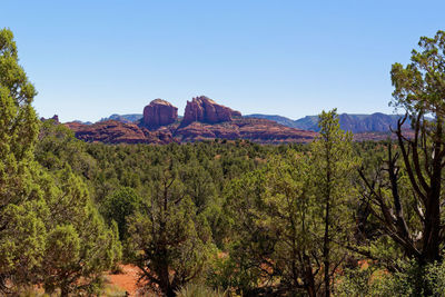 Scenic view of landscape against clear blue sky