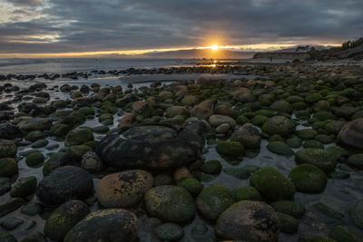 Scenic view of sunset over sea